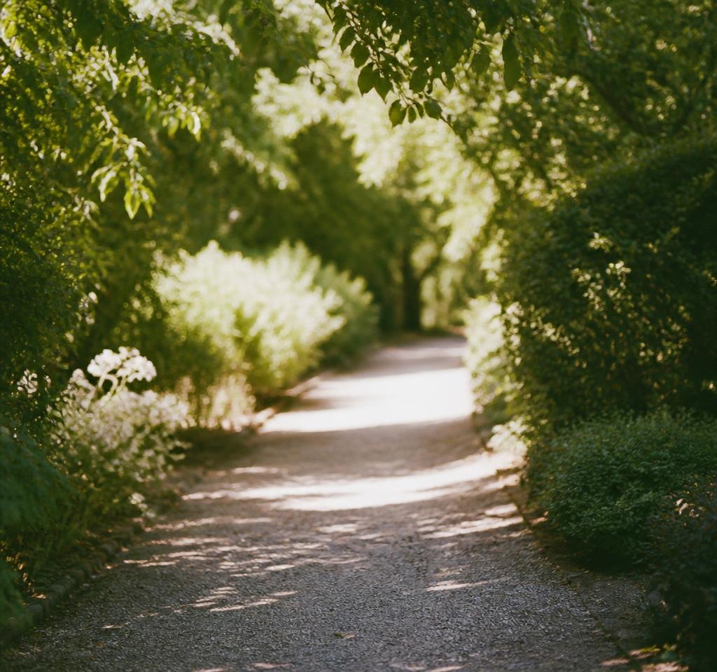 Demeure de caractère avec jardin à la française, lieu de réception privatisable